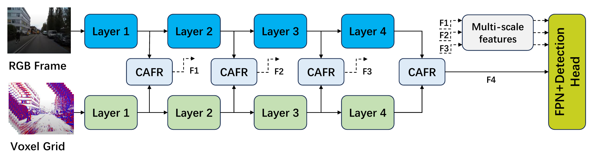 crop_Architecture